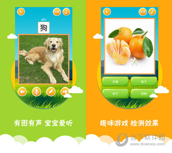 六盒宝典香港资料，六盒宝典香港资料揭秘