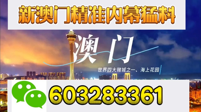 新澳门今晚开特马结果——深度解析与预测，澳门今晚特马结果深度解析与预测展望