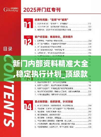新门内部资料最新版本2025年，揭秘新门内部资料，最新更新至2025年版本揭秘