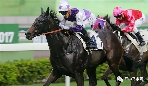 hkjc香港赛马会官方网站下载，hkjc香港赛马会官方网站下载，快速获取会员服务及最新赛事资讯