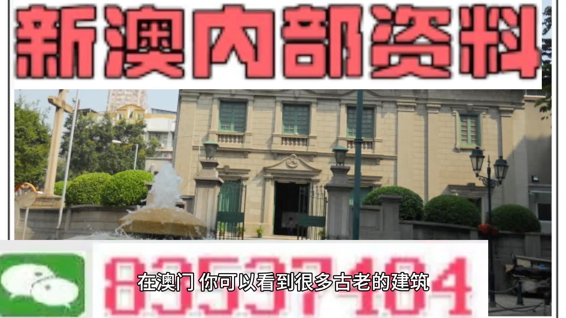 新门内部免费资料大全，一网打尽优质资源，新门内部优质资源一网打尽，免费资料大全