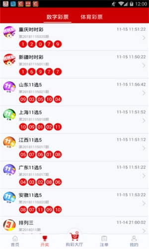 王中王493333今晚开奖，王中王493333今晚开奖结果揭晓