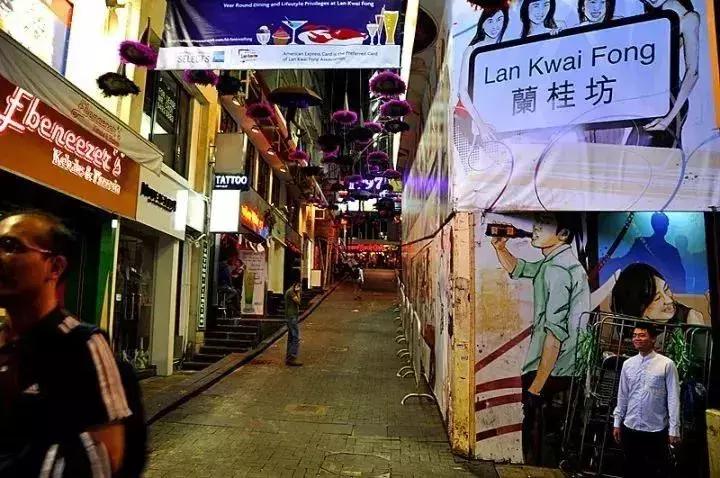 探索新澳门，免费厦门之旅的无限可能，探索新澳门与厦门免费之旅的无限魅力