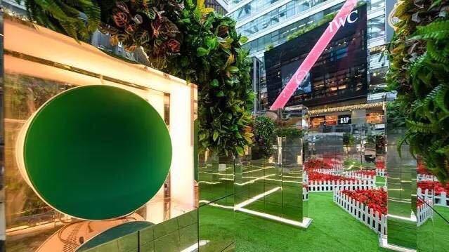 新澳门2025芳草地官方网站，澳门2025芳草地官网全新上线