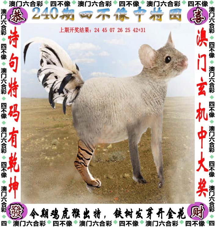 linhuijia 第7页