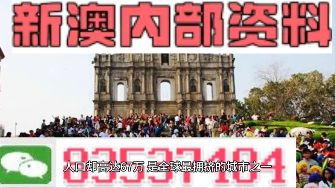 澳门最精准真正精准大金，揭秘博彩胜算的秘密，澳门大金揭秘，博彩胜算的精准秘诀