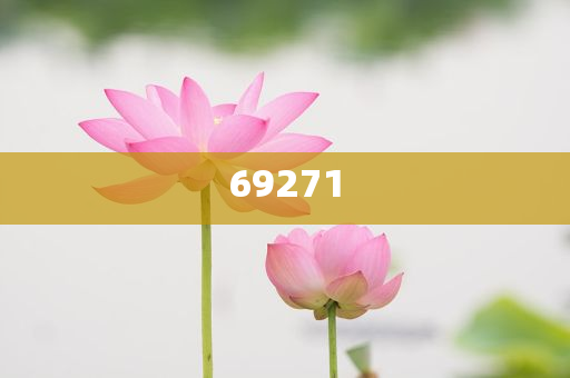 新澳今天晚上9点30分，新澳今晚9点30分活动启动