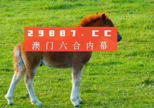 新澳门一肖一码中恃，揭秘与解读，揭秘解读新澳门一肖一码中恃奥秘