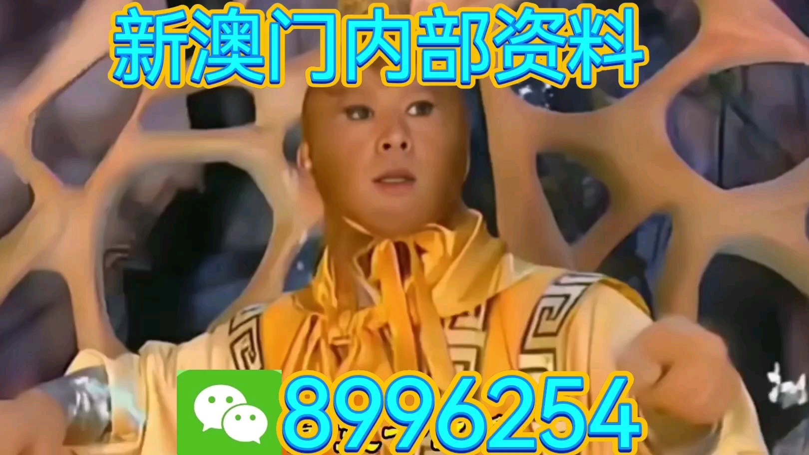 探索未来，澳门生肖彩票的奥秘与魅力，澳门生肖彩票的奥秘与魅力，探索未来之旅