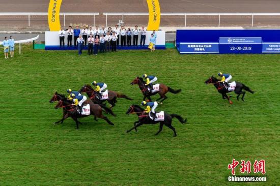 香港赛马免费公开资料大全，香港赛马免费公开资料全解析