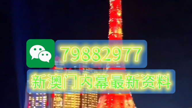 揭秘澳门特马今晚开奖，一探究竟，澳门特马今晚开奖揭秘，一探究竟