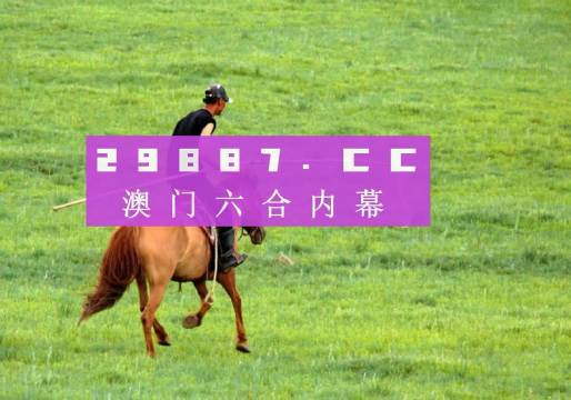 揭秘澳门精准免费高手使用方法，澳门精准免费高手使用指南揭秘