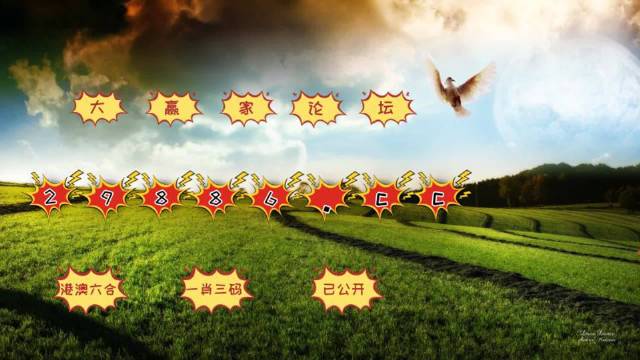 4949澳门今晚开奖，澳门今晚开奖结果揭晓