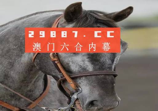 澳门正版一肖一码，揭秘与探索彩票文化中的独特魅力，澳门彩票文化揭秘，一肖一码的独特魅力探索