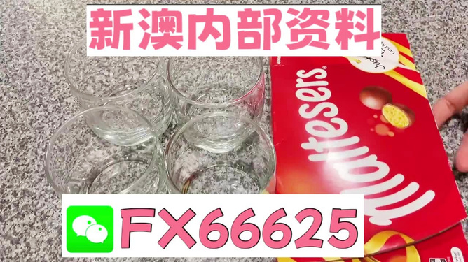 正版澳门2025原料免费，澳门正版2025原料揭秘，免费获取真相揭秘