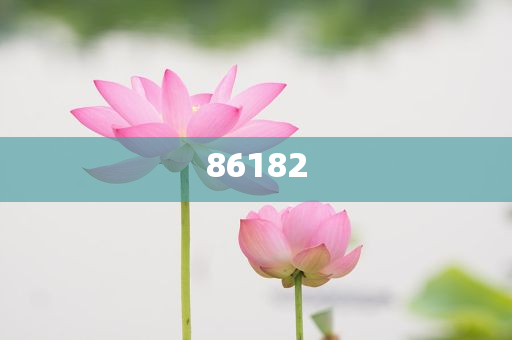 新奥精准免费提供港澳彩，新奥精准港澳彩免费预测