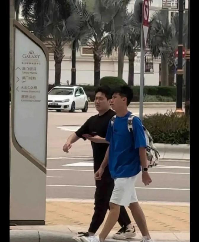 新澳门今晚精准一肖，澳门今晚精准生肖预测