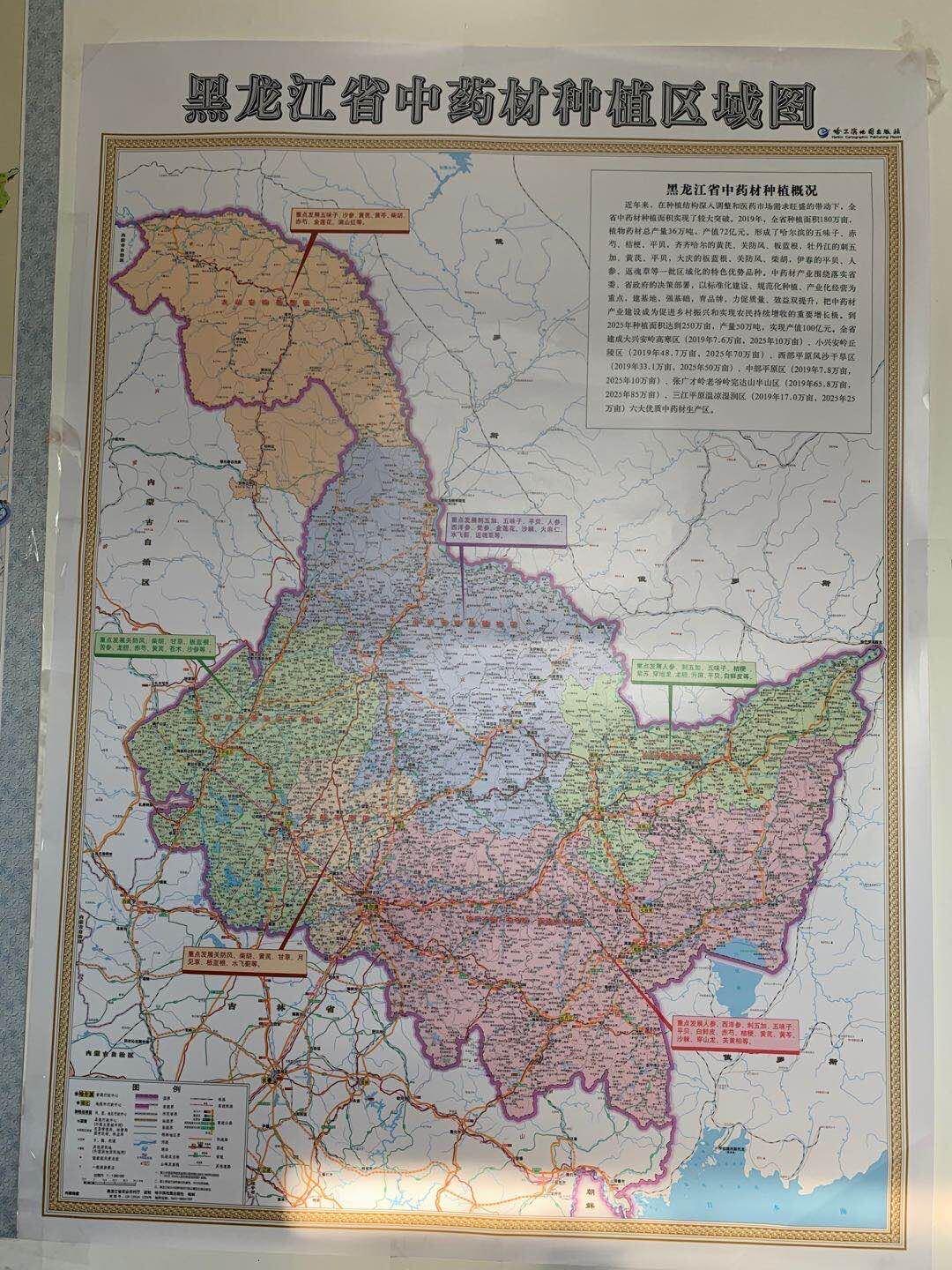 2025年香港正版资料免费大全，香港正版资料免费大全，探索未来的秘密（2025版）