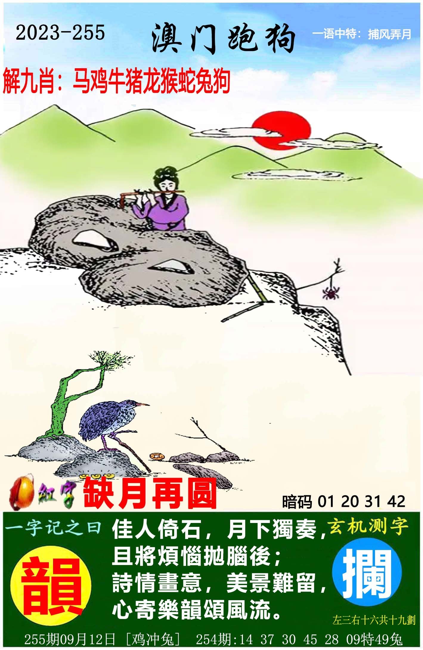 澳门历史马记录，探寻千年赛马的足迹，澳门赛马千年足迹，历史马记录探寻