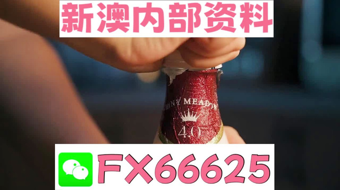 新澳门一码一码，探索真实的100%准确性，澳门一码一码揭秘，真实准确的探索之旅