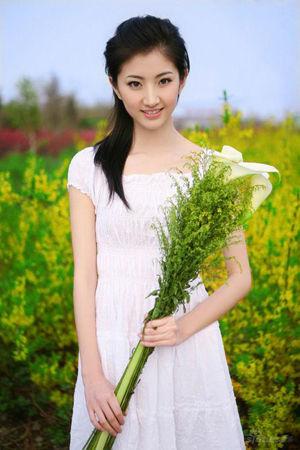 新澳门彩出码综合走势图表大全，澳门彩票出码走势图表大全解析