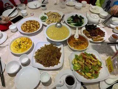 香港马资料更新最前沿，实时速递与深度解析，香港马匹资料实时更新与深度解析速递