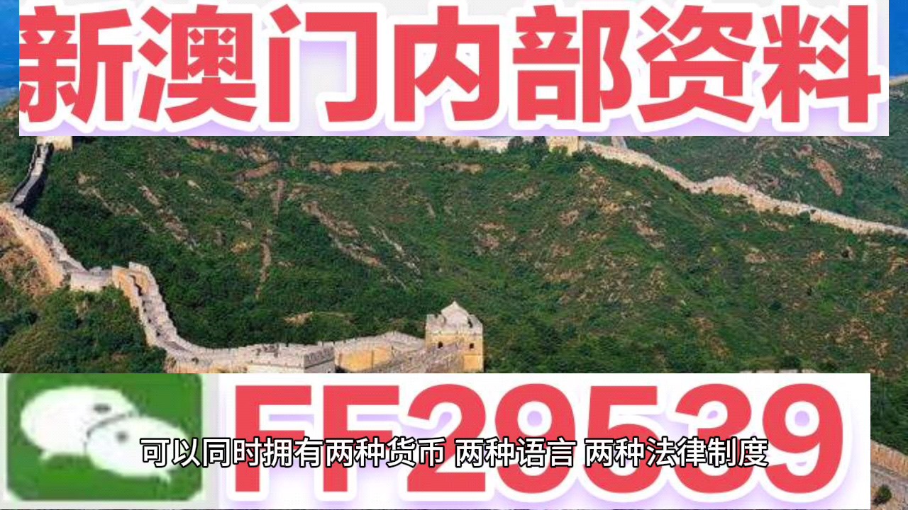 新澳门今晚开奖结果+开奖直播，澳门今晚开奖结果及直播揭晓