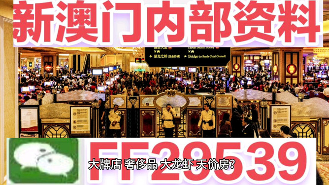 揭秘澳门今晚，494949背后的秘密，澳门今晚揭秘，数字背后的秘密探索