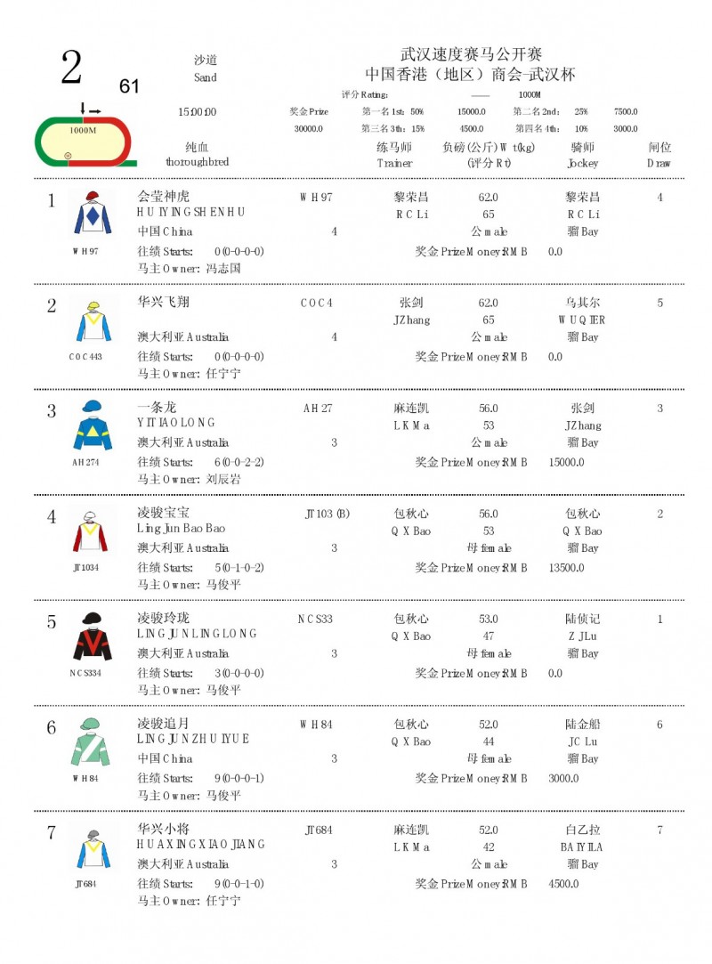 香港赛马免费公开资料大全，一网打尽赛马资讯，香港赛马免费公开资料大全，一网汇聚赛马资讯精华