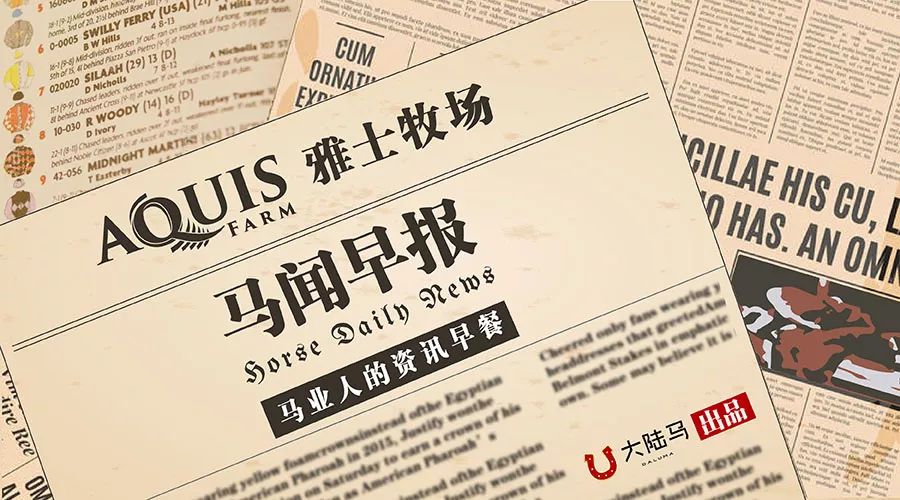 2025新澳门历史开奖记录49期香港赛马，澳门历史开奖记录与香港赛马，2025年49期回顾