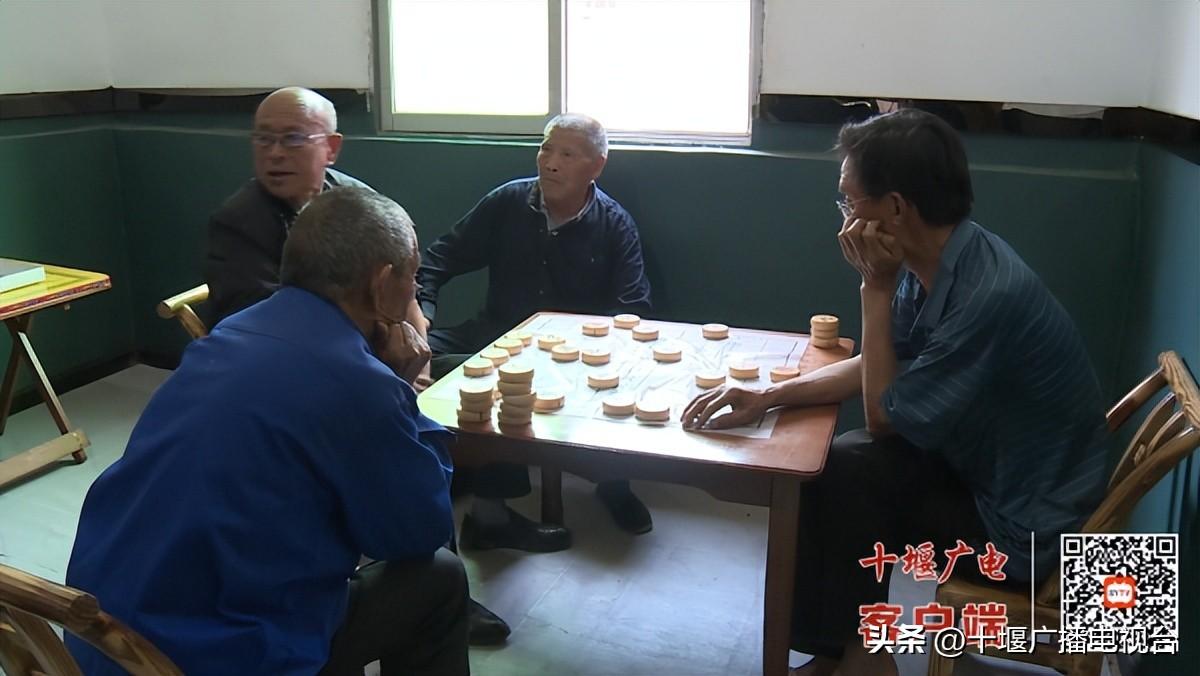 2025精准免费大全，2025精准免费大全手册