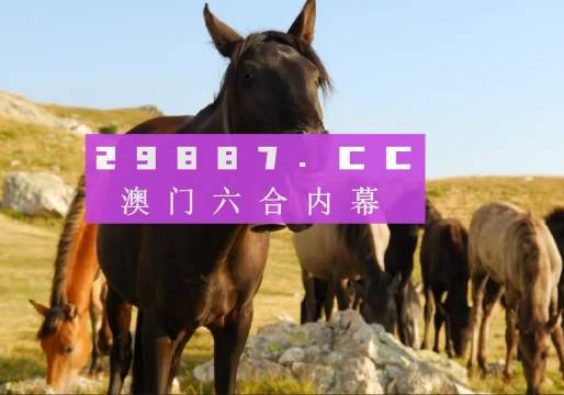 澳门管家婆——肖一码传奇人生，澳门管家婆肖一码，传奇人生之旅