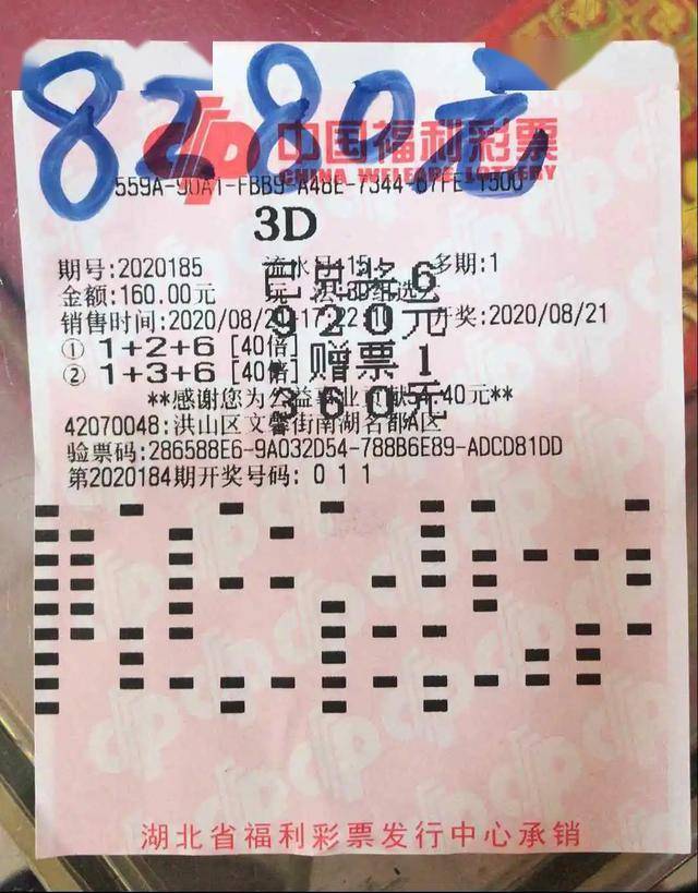 白小姐期期开奖一肖一特，揭秘彩票背后的秘密，揭秘彩票背后的秘密，白小姐期期开奖一肖一特探秘