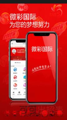 新澳门最新开奖结果记录历史查询，澳门最新开奖结果记录历史查询及开奖结果分析