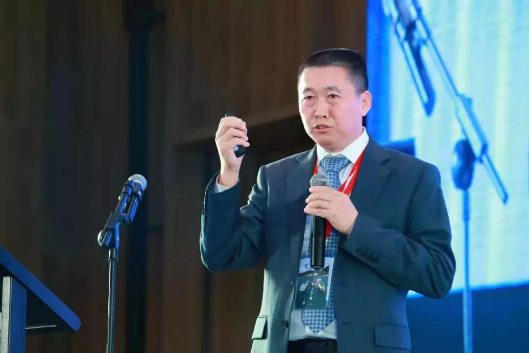 2025新奥天天免费资料53期，揭秘新奥天天免费资料第53期
