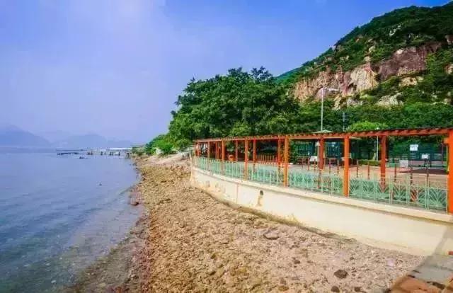 探索新澳门，免费厦门之旅的无限可能，探索新澳门与厦门免费之旅的无限魅力