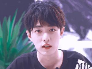 揭秘7777888888免费四肖，一网打尽彩票秘密？，揭秘彩票秘密，四肖一网打尽，彩票高手揭秘7777888888免费四肖选择策略
