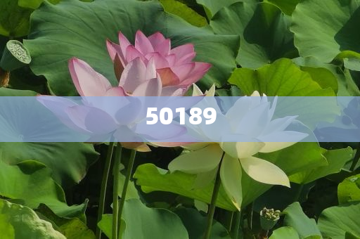 今日港彩开奖结果，轻松查询，梦想起航，今日港彩开奖结果，轻松查询，梦想扬帆起航