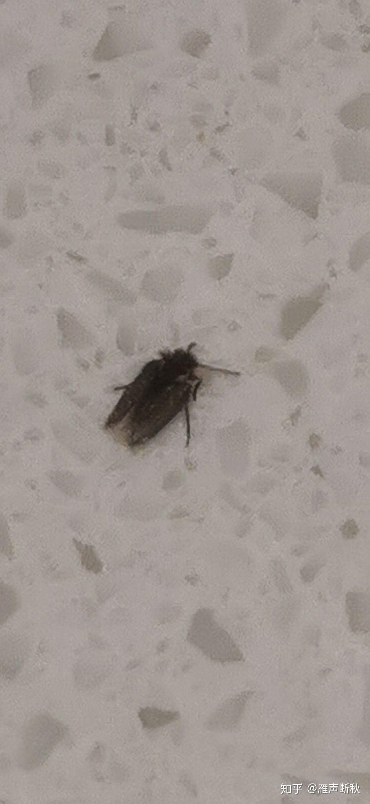 娱乐生活 第205页