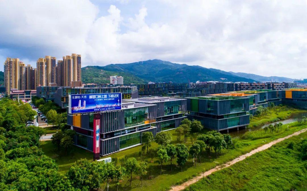 澳门最精准正最精准龙门客栈，澳门龙门客栈，揭秘最精准预测秘籍
