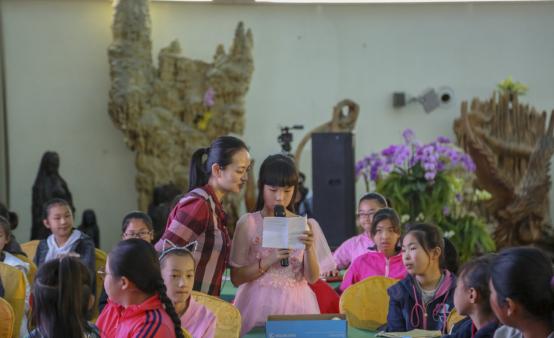 澳门公司开码规律，澳门公司开码规律揭秘