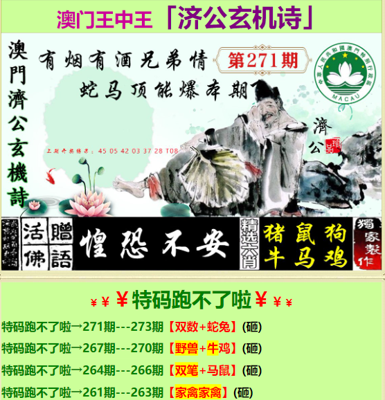 王中王中特免费公开资料选料特色解析，王中王中特免费公开资料特色解析揭秘选料之道