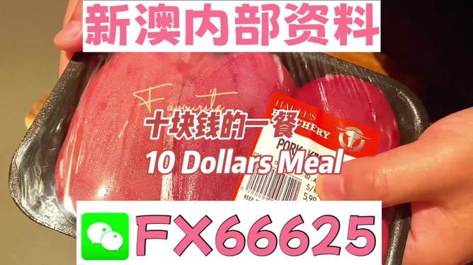 新澳2025年精准正版资料，新澳2025年正版资料概览