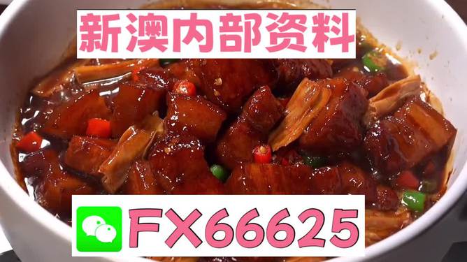 探索新澳门内部一码精准公开网站的新机遇与挑战，澳门内部一码精准公开网站的新机遇与挑战探索
