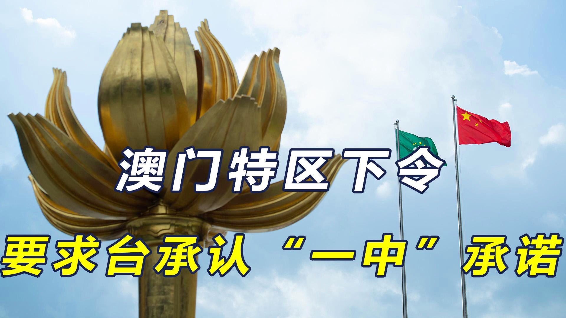 澳门一码一肖一特一中直播结果的深度解析，澳门直播结果深度解析，一码一肖一特一中揭秘