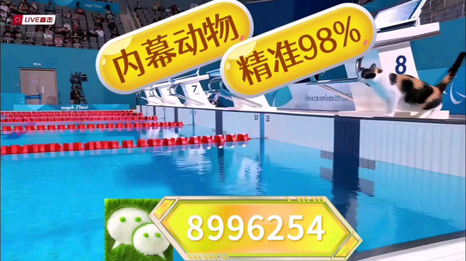 2025年今晚澳门特马盛宴，期待与狂欢的交织，澳门特马盛宴，期待与狂欢的交织 2025年之夜