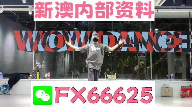 澳门管家婆一码一中资料100全解析，澳门管家婆一码资料全解析揭秘