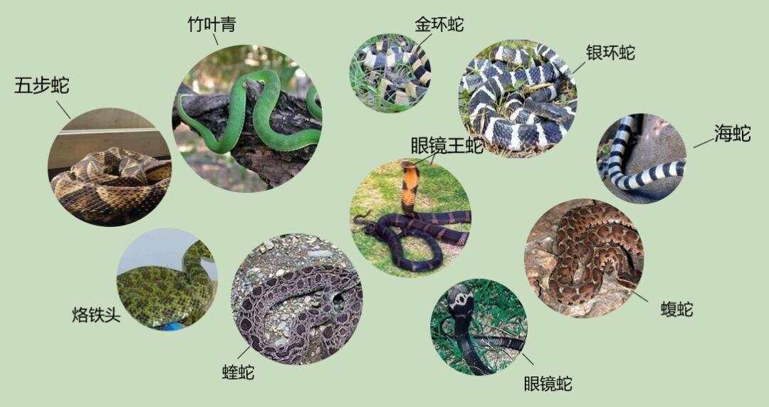 热点生活 第186页