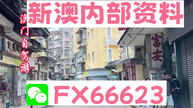 新澳精准资料免费提供二肖，新澳精准资料二肖免费分享