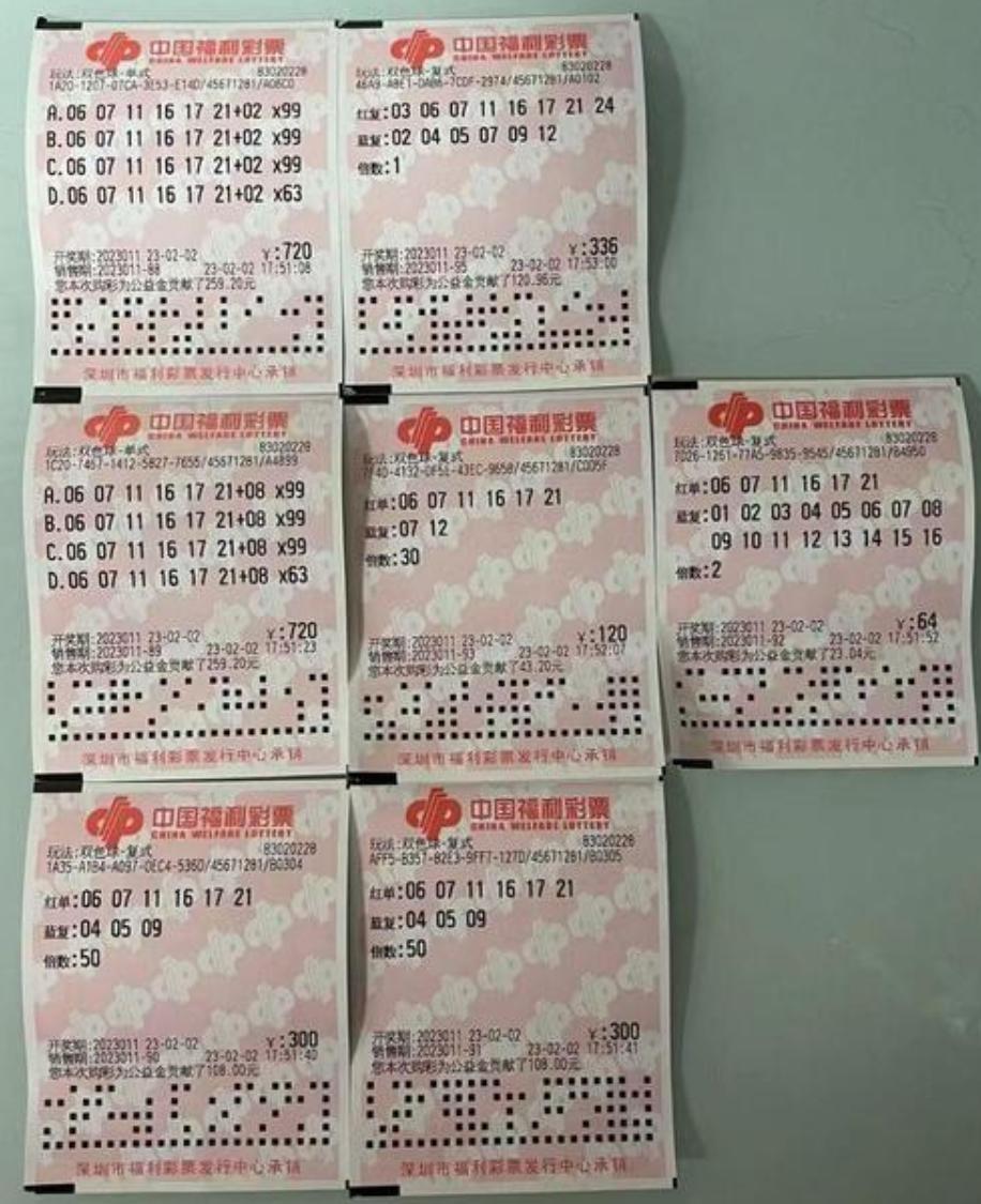 新澳六开彩资料2025，新澳六开彩资料2025年概览